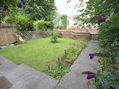 Picture 13